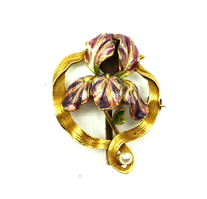 Antique gold, enamel and pearl iris brooch
